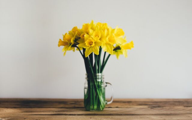 Spring Cleaning using Natural Ingredients