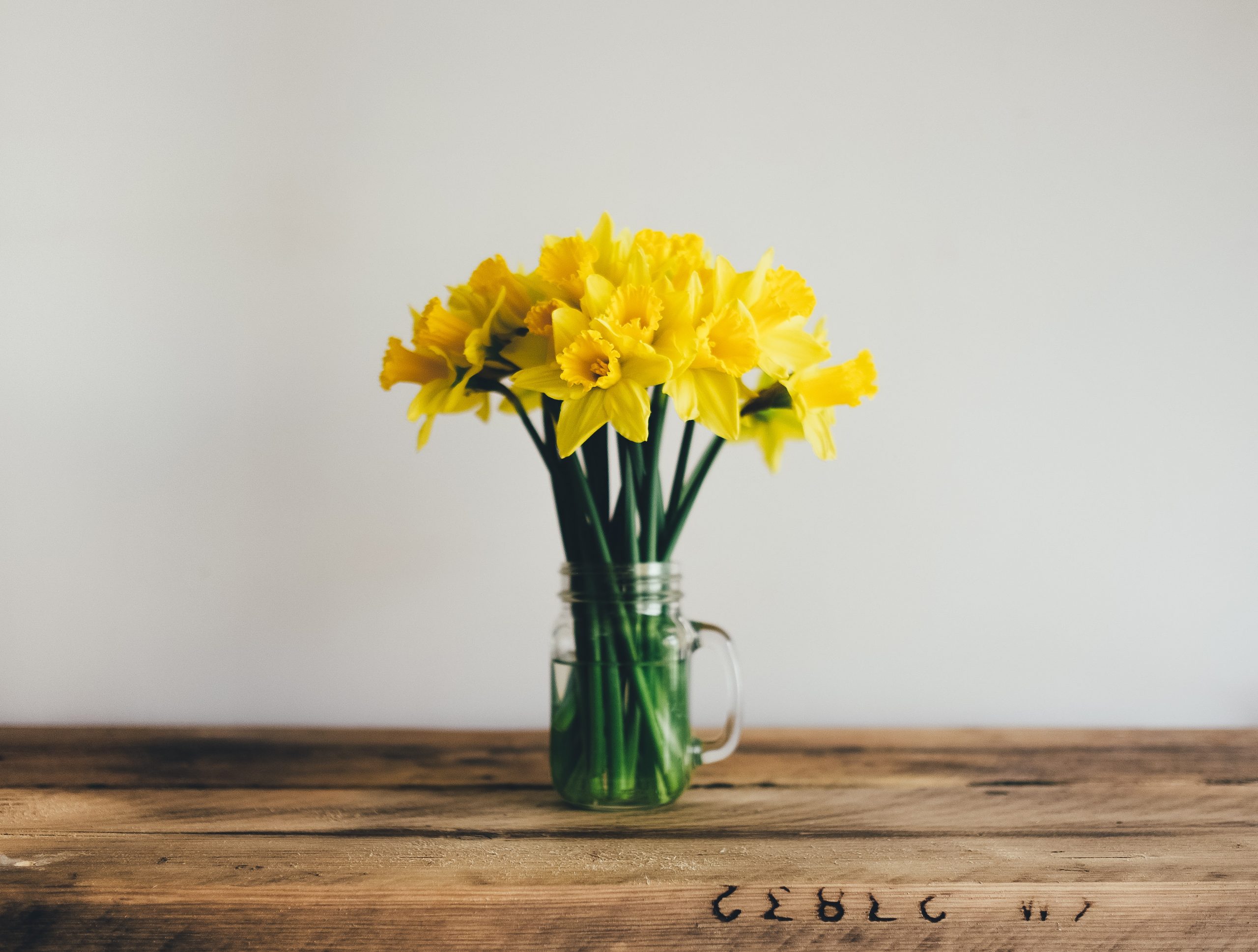 Spring Cleaning using Natural Ingredients